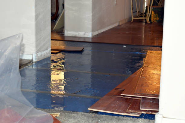 Professional Basement Flood Cleanup technician working in Pine Lake, GA
